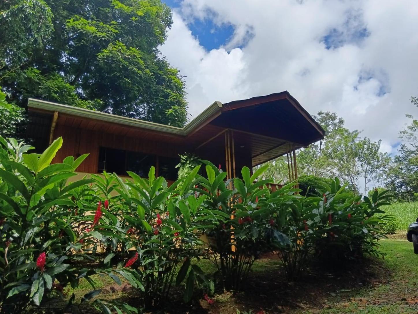 Gambas Lodge La Fortuna Exterior foto